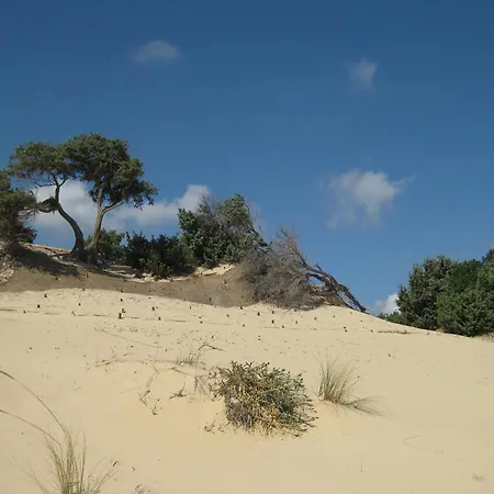 Villa Le Rocce Fiorite